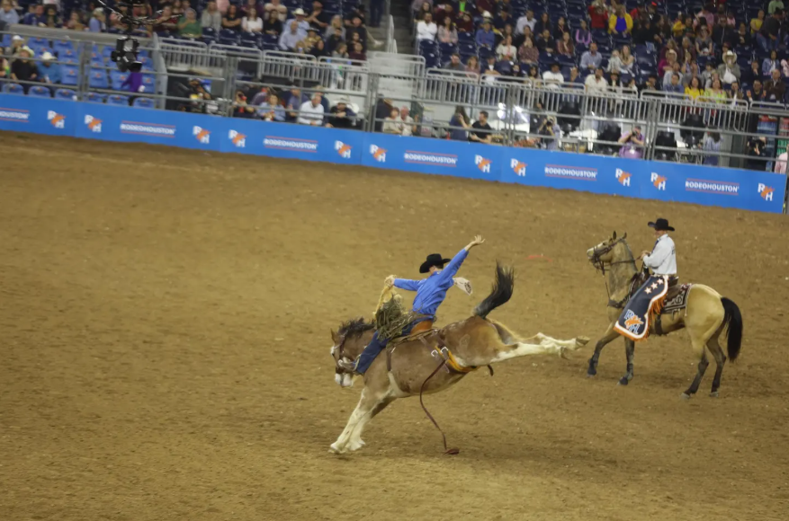 RodeoHouston bronc riding NRG Stadium Houston Texas — family law attorney Houston TX